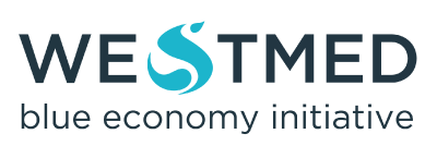 WESTMED INITIATIVE